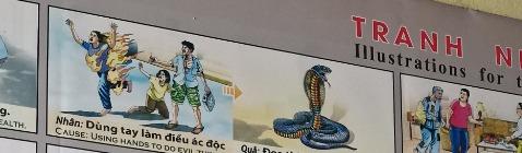 Tranh Nhân Quả Original