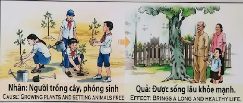 Tranh Nhân Quả Original