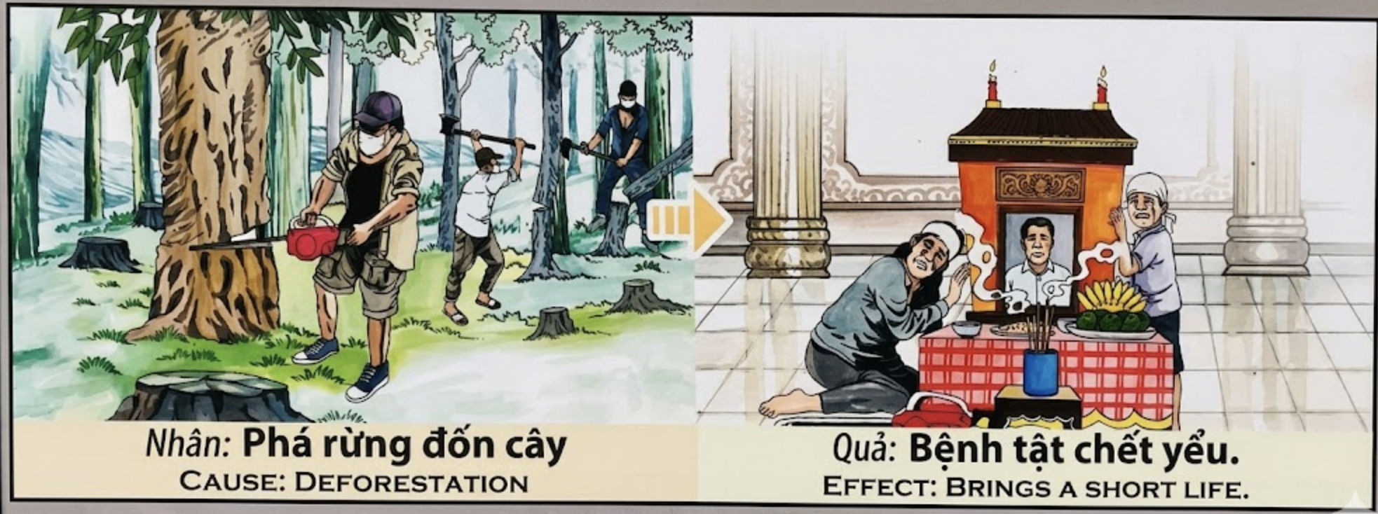 Tranh Nhân Quả Original